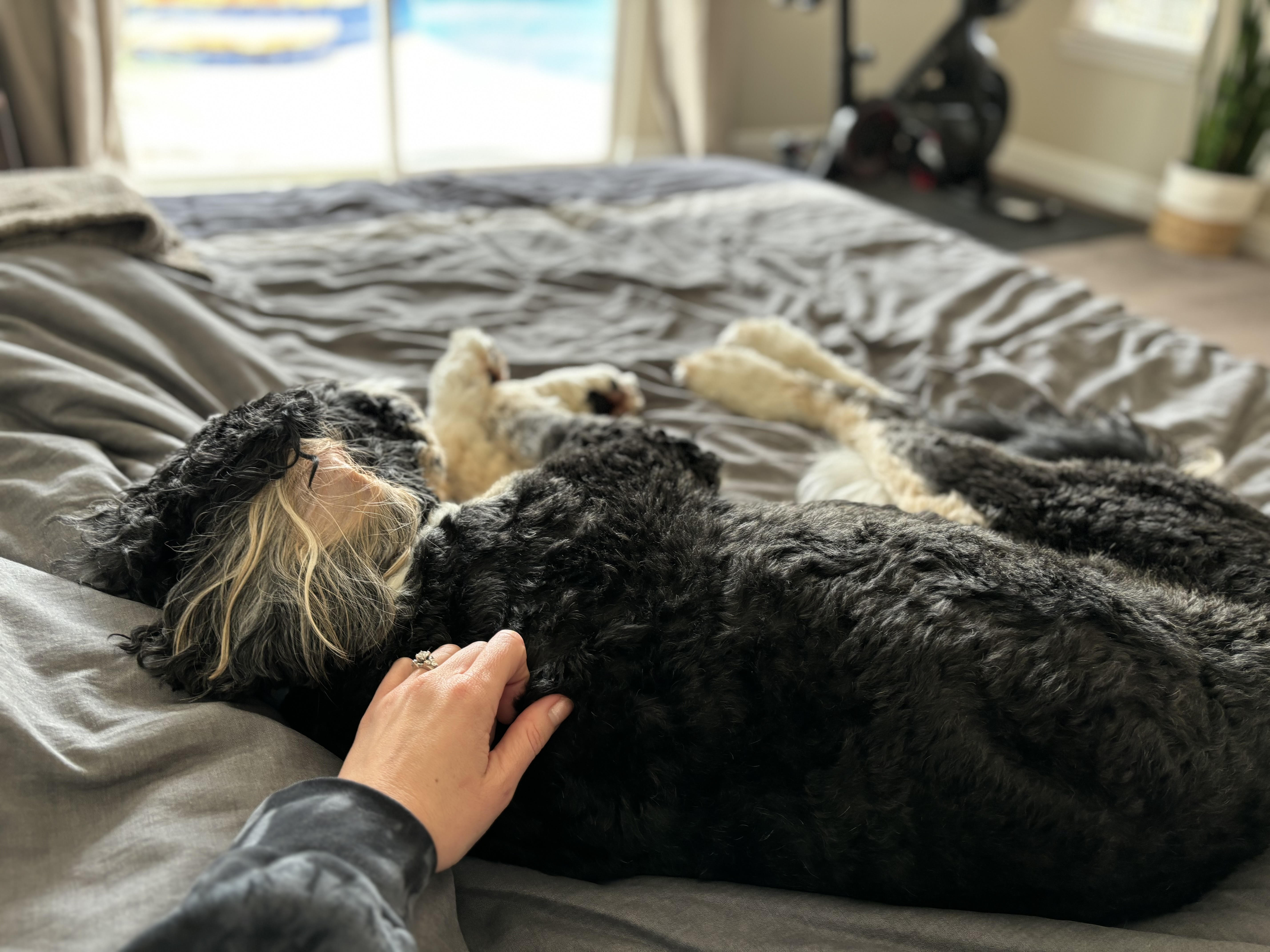 The Joy in Small Moments